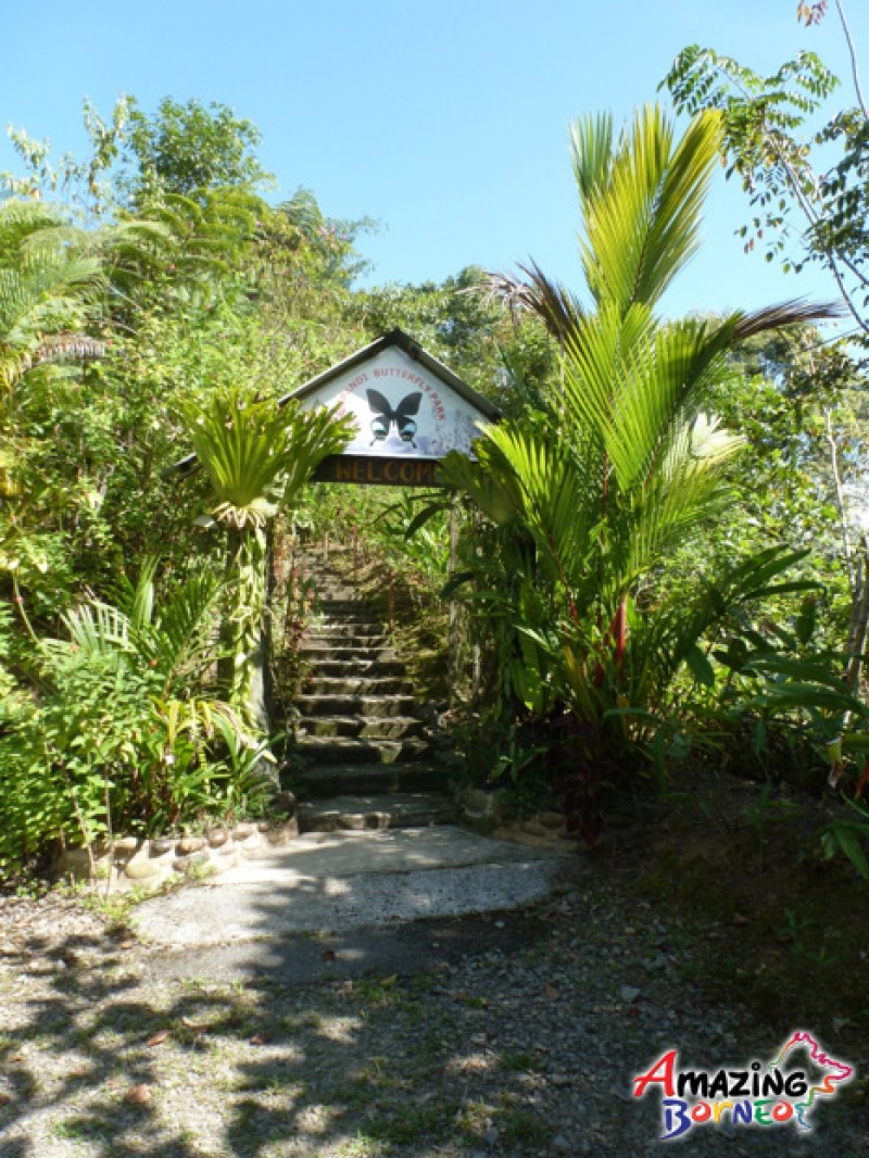 Tambunan Rafflesia Centre & Kipandi Butterfly Park & Mahua Waterfall